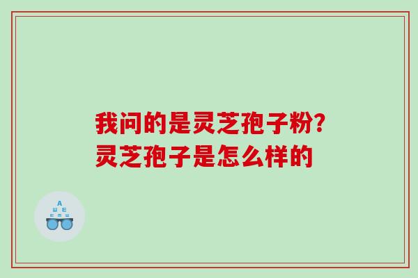 我问的是灵芝孢子粉？灵芝孢子是怎么样的