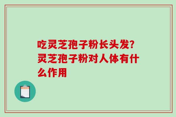 吃灵芝孢子粉长头发？灵芝孢子粉对人体有什么作用