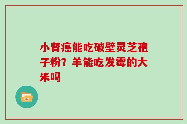 小能吃破壁灵芝孢子粉？羊能吃发霉的大米吗