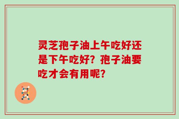 灵芝孢子油上午吃好还是下午吃好？孢子油要吃才会有用呢？