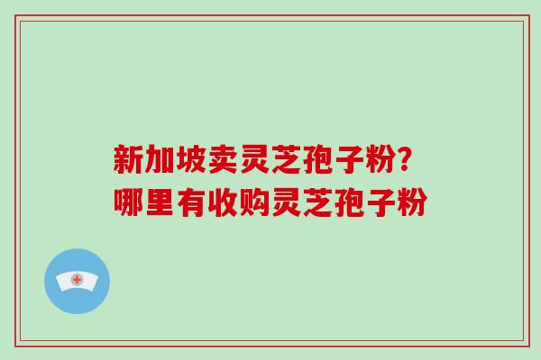 新加坡卖灵芝孢子粉？哪里有收购灵芝孢子粉