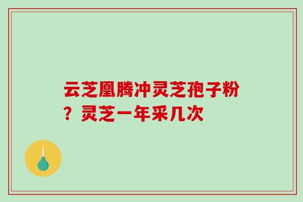 云芝凰腾冲灵芝孢子粉？灵芝一年采几次