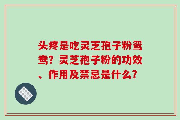 头疼是吃灵芝孢子粉鸳鸯？灵芝孢子粉的功效、作用及禁忌是什么？