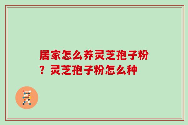 居家怎么养灵芝孢子粉？灵芝孢子粉怎么种