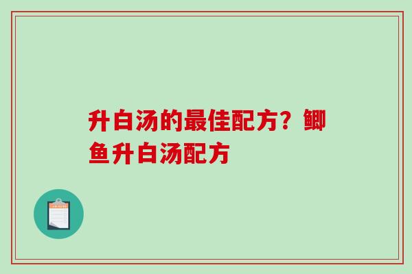 升白汤的最佳配方？鲫鱼升白汤配方