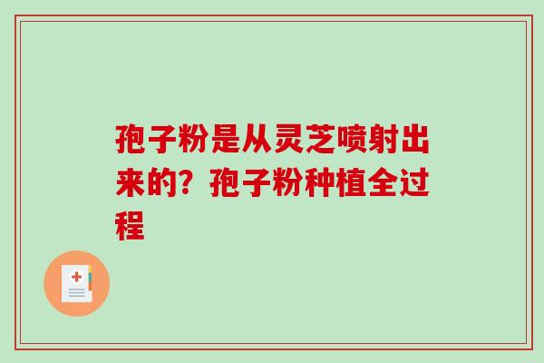 孢子粉是从灵芝喷射出来的？孢子粉种植全过程