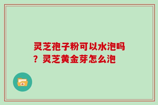 灵芝孢子粉可以水泡吗？灵芝黄金芽怎么泡