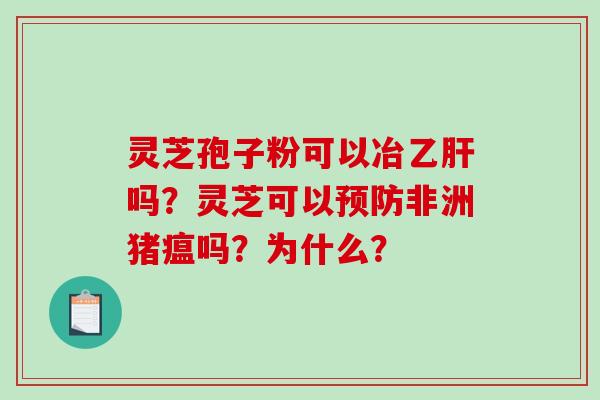 灵芝孢子粉可以冶乙肝吗？灵芝可以预防非洲猪瘟吗？为什么？