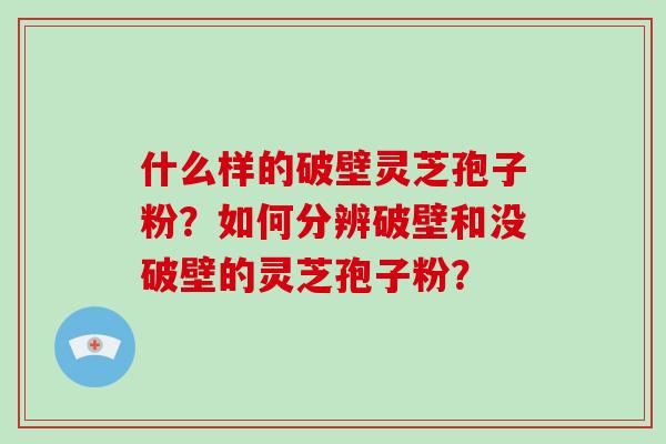 什么样的破壁灵芝孢子粉？如何分辨破壁和没破壁的灵芝孢子粉？