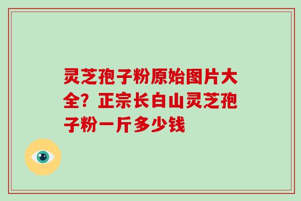 灵芝孢子粉原始图片大全？正宗长白山灵芝孢子粉一斤多少钱