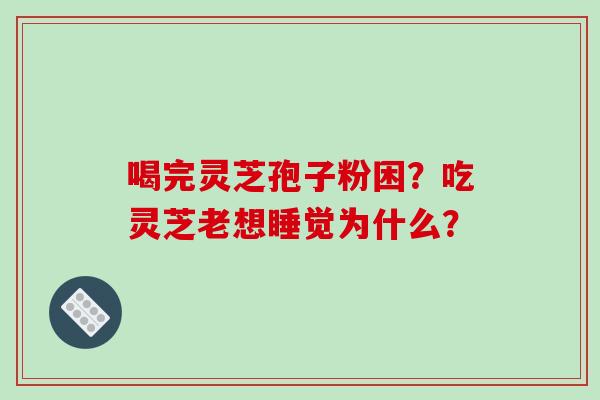 喝完灵芝孢子粉困？吃灵芝老想睡觉为什么？