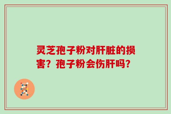 灵芝孢子粉对肝脏的损害？孢子粉会伤肝吗？