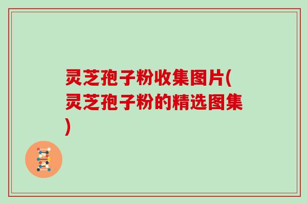 灵芝孢子粉收集图片(灵芝孢子粉的精选图集)
