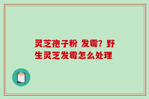 灵芝孢子粉 发霉？野生灵芝发霉怎么处理