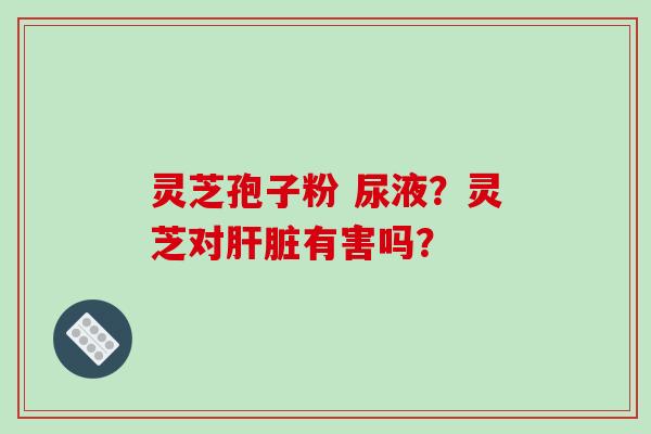 灵芝孢子粉 尿液？灵芝对肝脏有害吗？