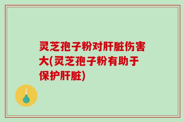 灵芝孢子粉对肝脏伤害大(灵芝孢子粉有助于保护肝脏)