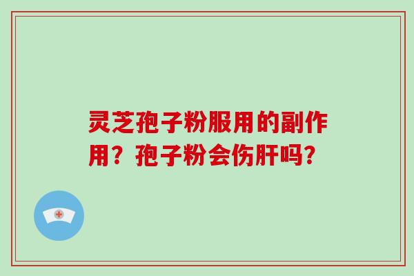 灵芝孢子粉服用的副作用？孢子粉会伤肝吗？