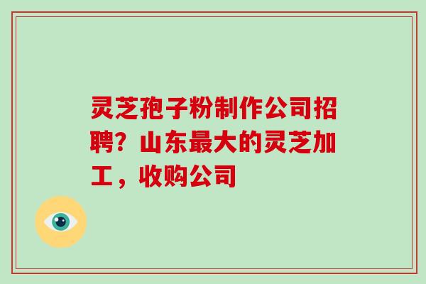 灵芝孢子粉制作公司招聘？山东最大的灵芝加工，收购公司