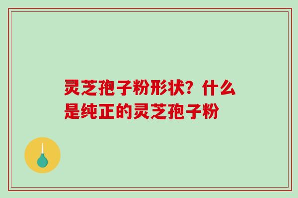 灵芝孢子粉形状？什么是纯正的灵芝孢子粉