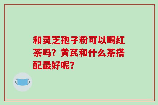 和灵芝孢子粉可以喝红茶吗？黄芪和什么茶搭配好呢？