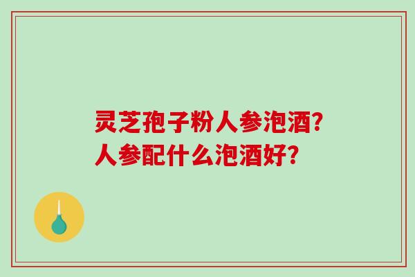 灵芝孢子粉人参泡酒？人参配什么泡酒好？