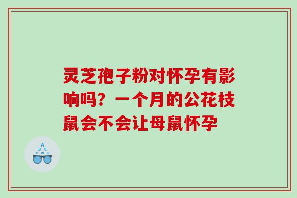 灵芝孢子粉对怀孕有影响吗？一个月的公花枝鼠会不会让母鼠怀孕