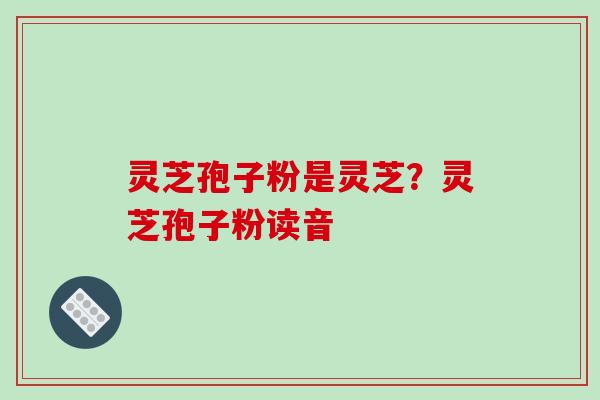 灵芝孢子粉是灵芝？灵芝孢子粉读音