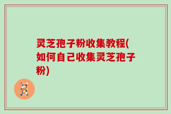 灵芝孢子粉收集教程(如何自己收集灵芝孢子粉)