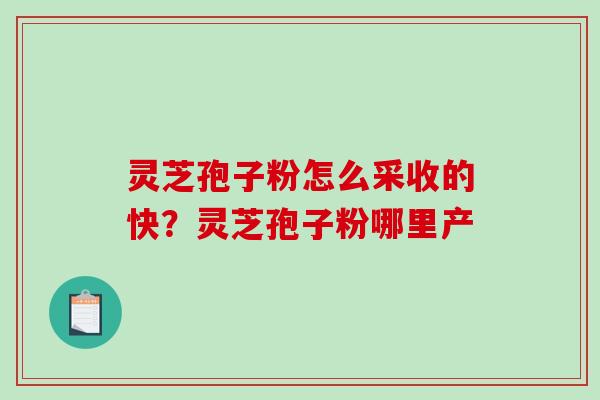 灵芝孢子粉怎么采收的快？灵芝孢子粉哪里产