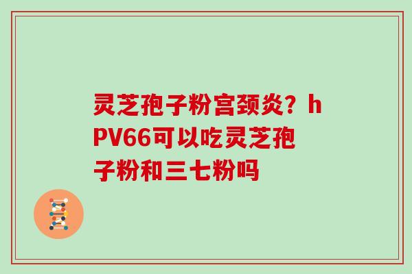 灵芝孢子粉宫颈炎？hPV66可以吃灵芝孢子粉和三七粉吗