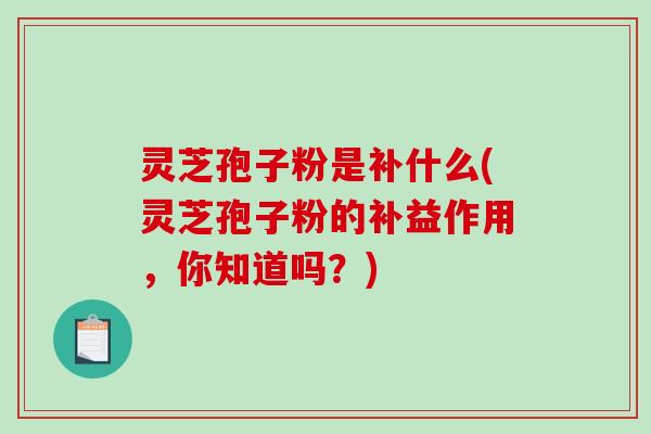 灵芝孢子粉是补什么(灵芝孢子粉的补益作用，你知道吗？)