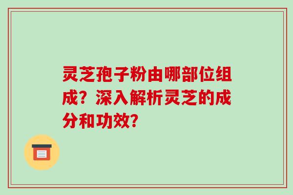 灵芝孢子粉由哪部位组成？深入解析灵芝的成分和功效？
