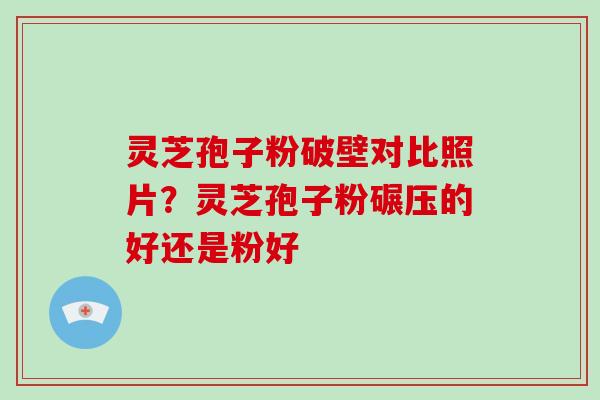 灵芝孢子粉破壁对比照片？灵芝孢子粉碾压的好还是粉好