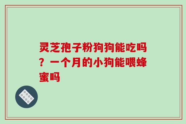 灵芝孢子粉狗狗能吃吗？一个月的小狗能喂蜂蜜吗