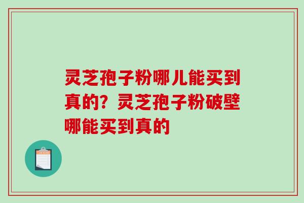 灵芝孢子粉哪儿能买到真的？灵芝孢子粉破壁哪能买到真的