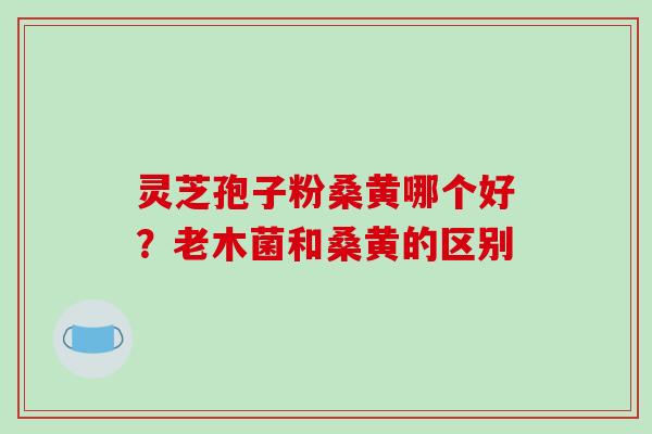 灵芝孢子粉桑黄哪个好？老木菌和桑黄的区别