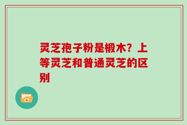 灵芝孢子粉是椴木？上等灵芝和普通灵芝的区别