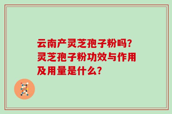 云南产灵芝孢子粉吗？灵芝孢子粉功效与作用及用量是什么？