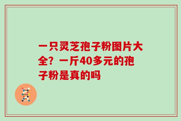 一只灵芝孢子粉图片大全？一斤40多元的孢子粉是真的吗