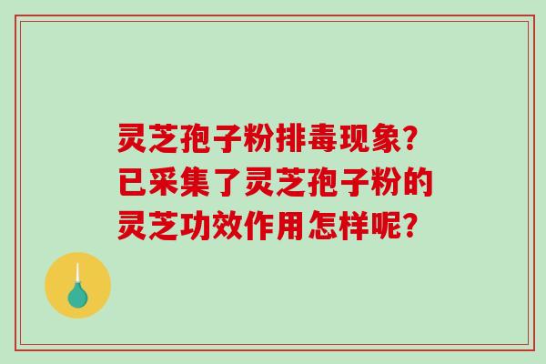 灵芝孢子粉排毒现象？已采集了灵芝孢子粉的灵芝功效作用怎样呢？