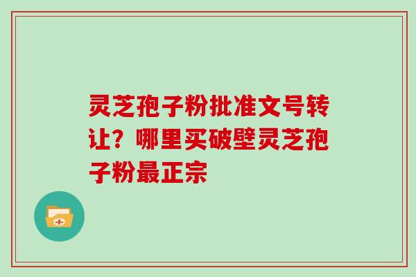 灵芝孢子粉批准文号转让？哪里买破壁灵芝孢子粉正宗