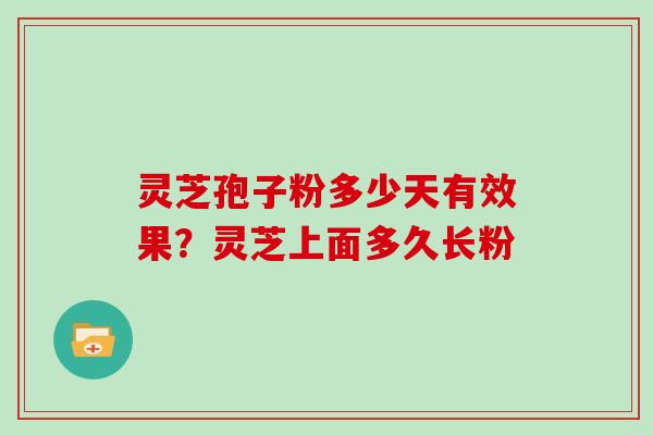 灵芝孢子粉多少天有效果？灵芝上面多久长粉