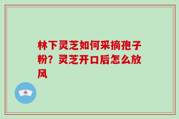 林下灵芝如何采摘孢子粉？灵芝开口后怎么放风