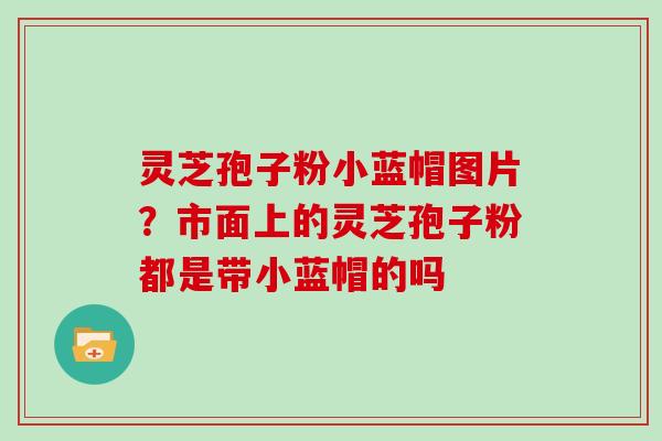 灵芝孢子粉小蓝帽图片？市面上的灵芝孢子粉都是带小蓝帽的吗