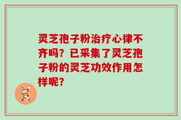 灵芝孢子粉治疗心律不齐吗？已采集了灵芝孢子粉的灵芝功效作用怎样呢？