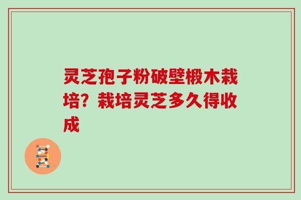 灵芝孢子粉破壁椴木栽培？栽培灵芝多久得收成
