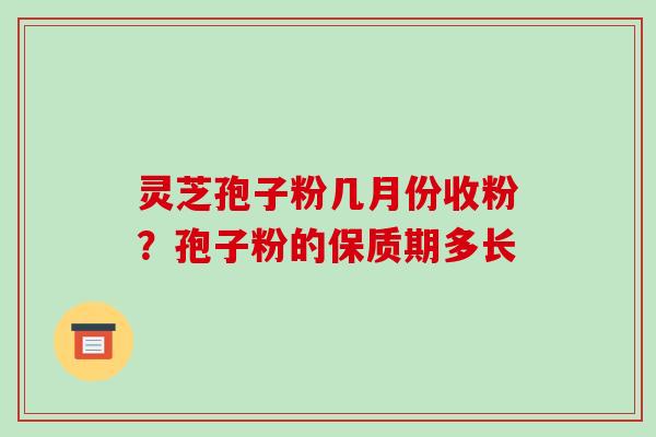 灵芝孢子粉几月份收粉？孢子粉的保质期多长