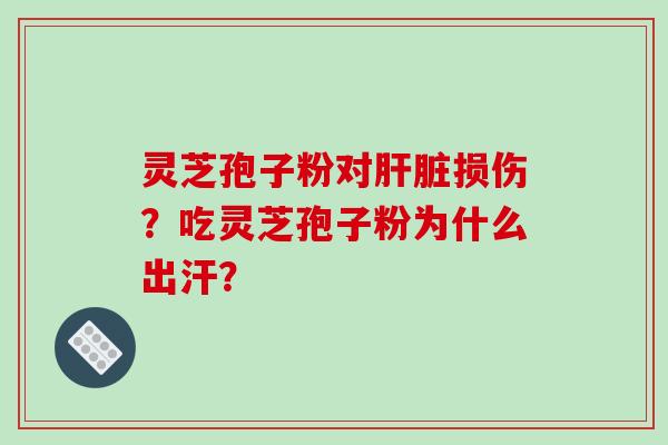 灵芝孢子粉对肝脏损伤？吃灵芝孢子粉为什么出汗？