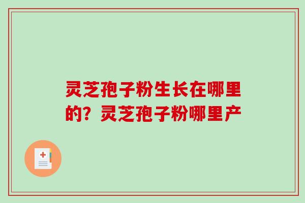 灵芝孢子粉生长在哪里的？灵芝孢子粉哪里产