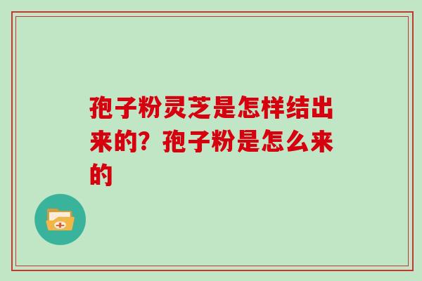 孢子粉灵芝是怎样结出来的？孢子粉是怎么来的